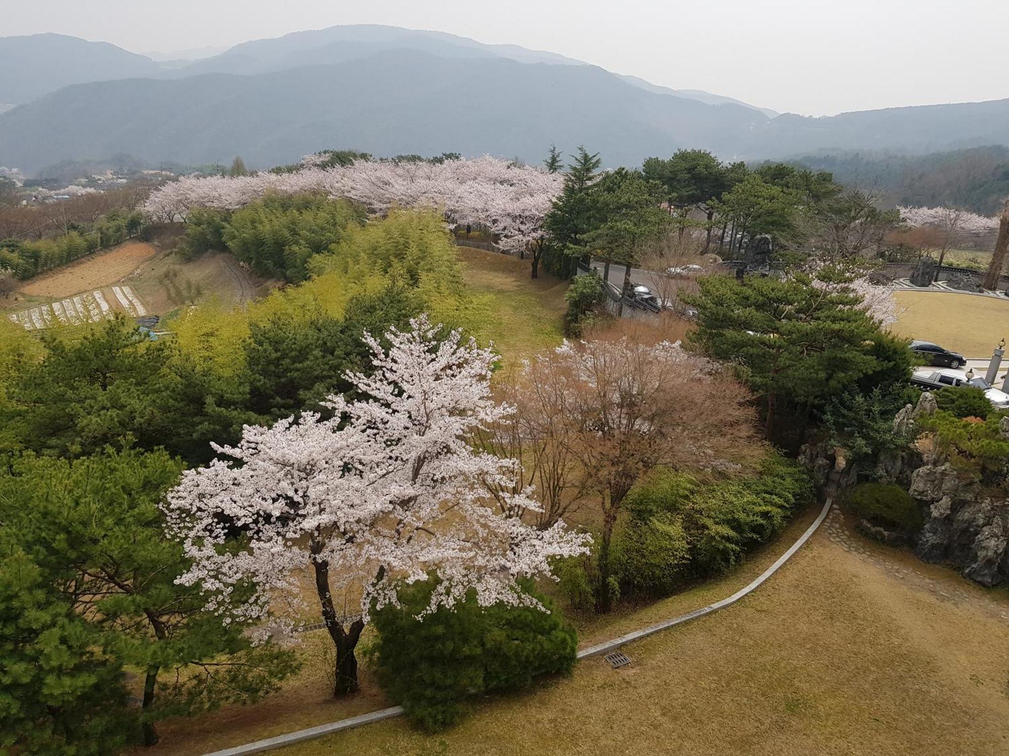 Hotel Gaya Seongju Exteriör bild
